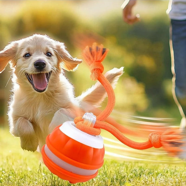 Automatic Rolling Ball with Rope, Interactive Dog Toy