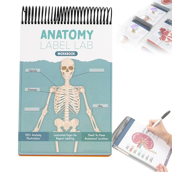 Anatomy Label Lab Workbook, Creative Human Anatomy Busy Book