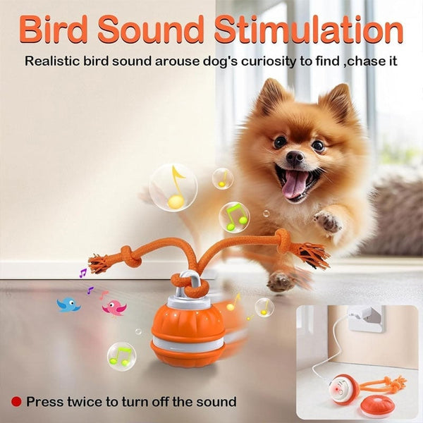 Automatic Rolling Ball with Rope, Interactive Dog Toy