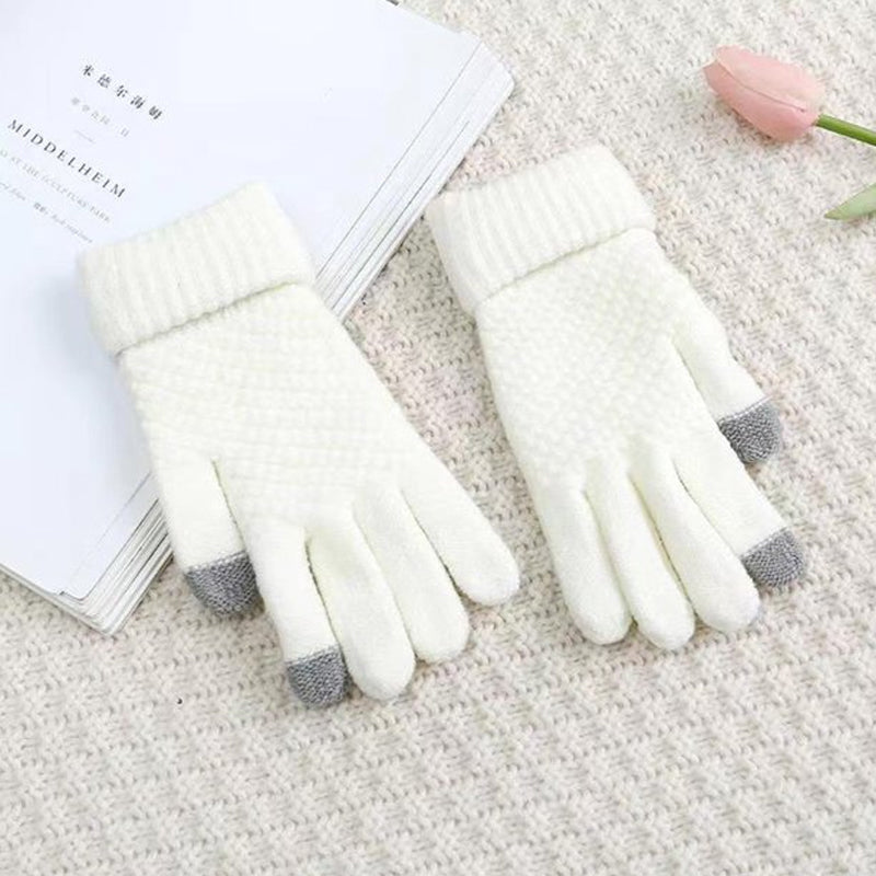 Jacquard Thick Warm Touch Screen Gloves for Women