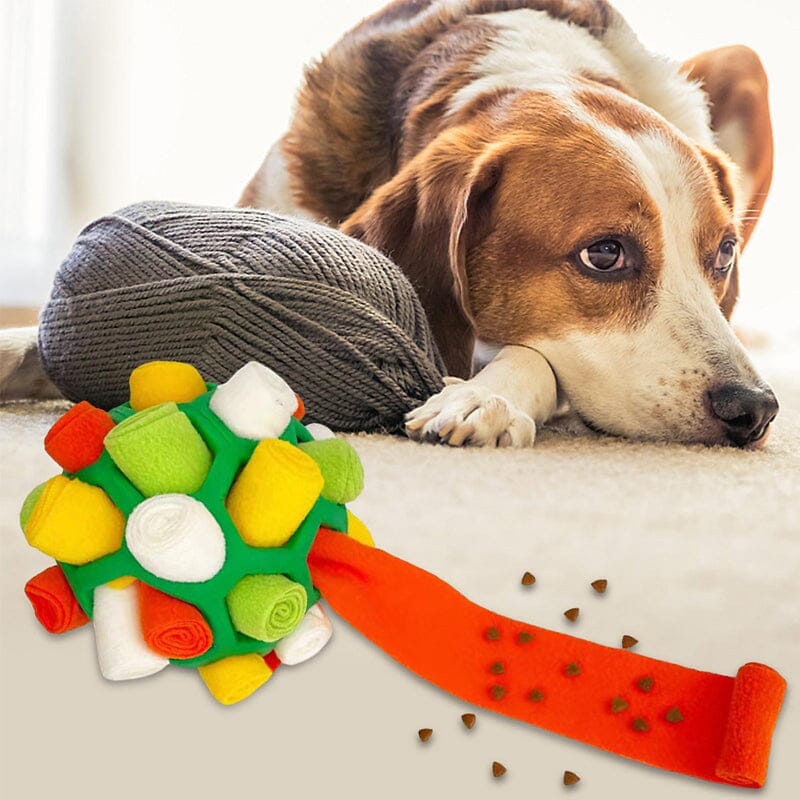 Dog Chew Toy Fun Snuffle Ball