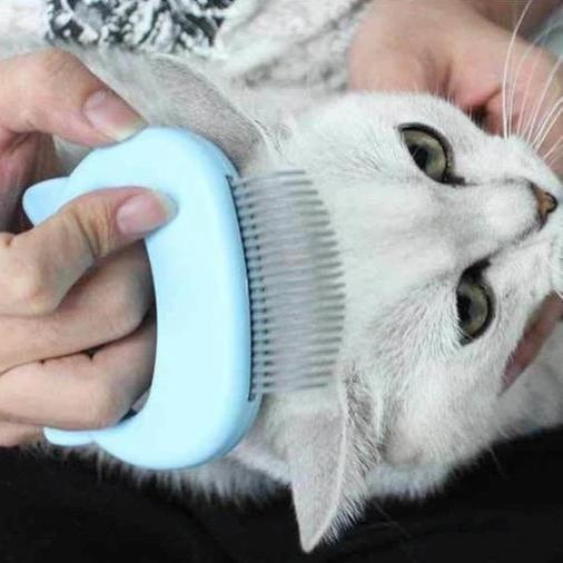 Massage & Grooming Pleasure for Cat - Hair Removal Massaging Shell Comb