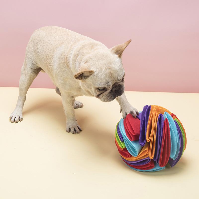Snuffle Ball Dog Toy