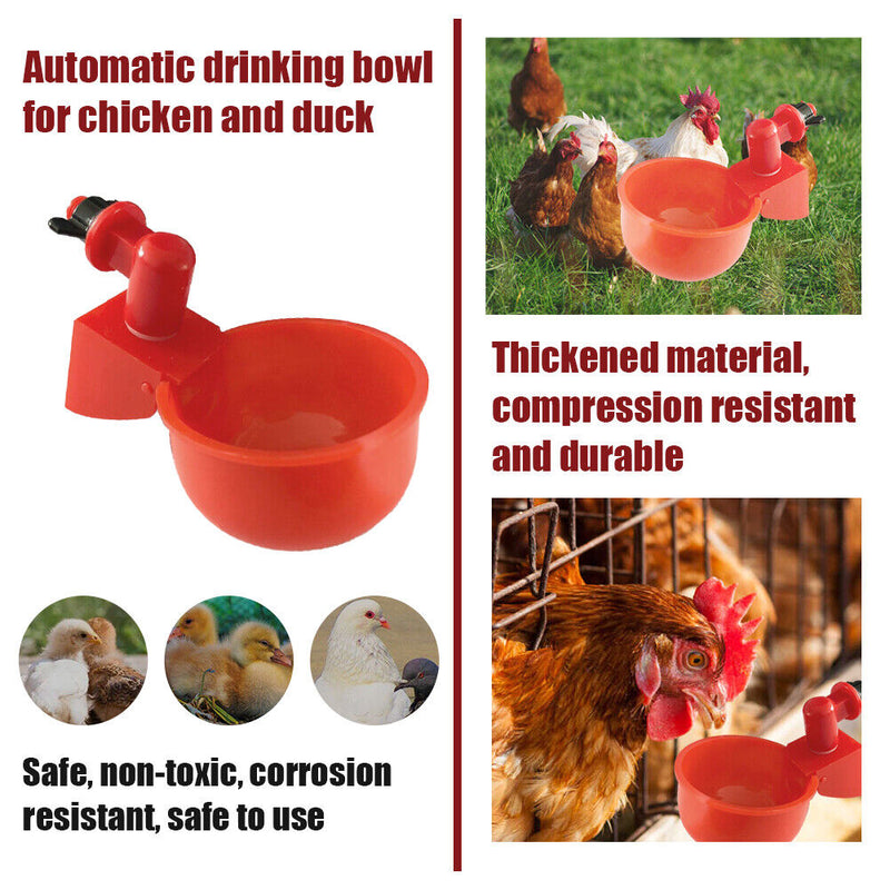 Automatic Poultry Waterer Auto Chicken Water Drinker Cup