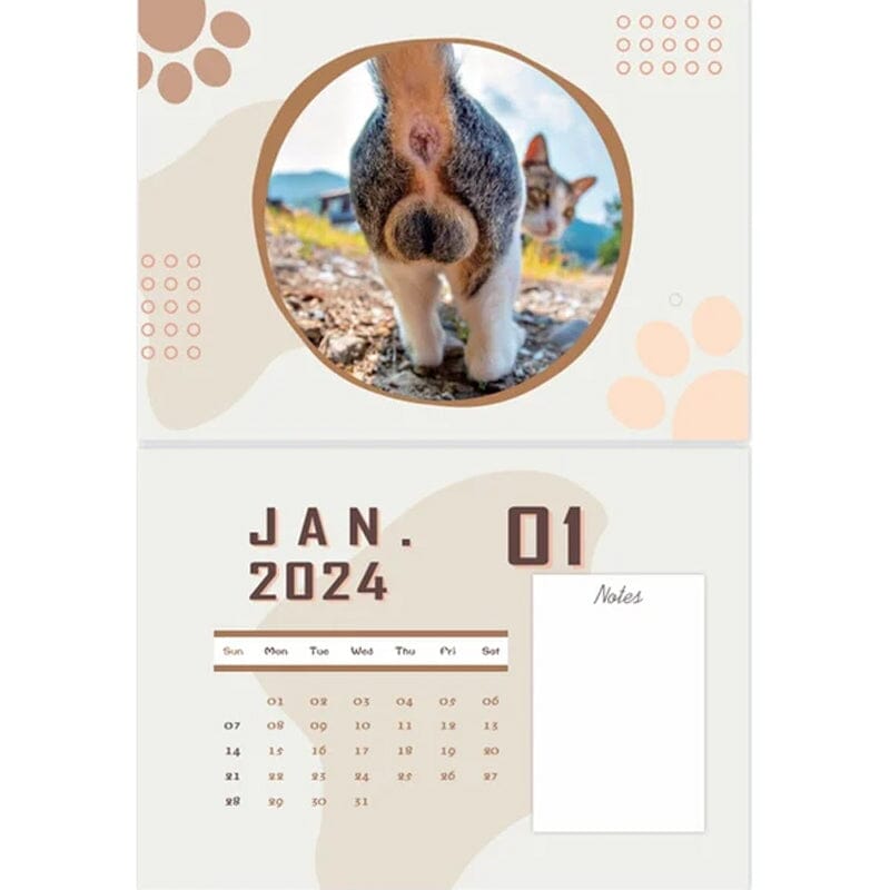 😆Funniest Calendar 2024-Cat Balls |"Artistic Expression" of Furry Friends🐱