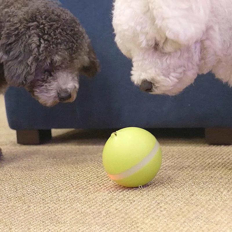 Happy Doggie Magic Ball Pet Motion Toy