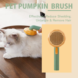 Pumpkin Pet Cleaning Combing Brush